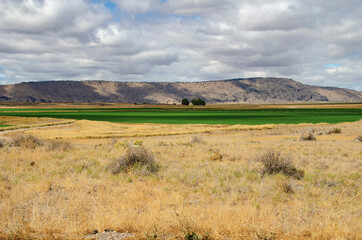 Obraz premium USA, California. Tulelake, farm fields framed by Gillem Bluff