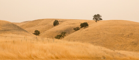 USA, California, Paso Robles. Panoramic of grassy hillsides and trees.