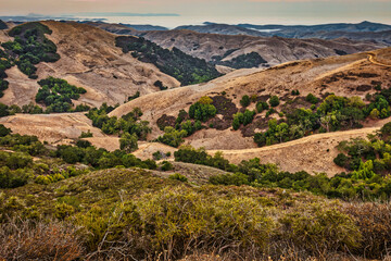 Coastal Range, Paso Robles, California.