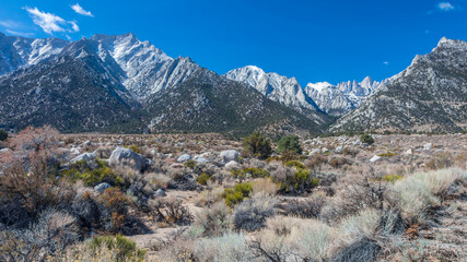 USA, California. View of Mt. Whitney on the Eastern slope of the Sierra Nevada mountain range.