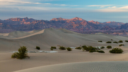 USA, California. View of Mesquite Flats sand dunes near Stovepipe Wells in Death Valley National...