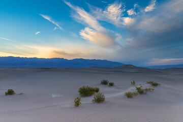 USA, California. View of Mesquite Flats sand dunes near Stovepipe Wells in Death Valley National...