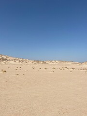 Fototapeta na wymiar Panorama of poor desert vegetation in a sandy valley against the blue sky. 