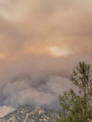 Smoke and fire clouds from wildfire at Black Mountain, Southern Sierra Nevada Mountains, California, from drought stressed forest