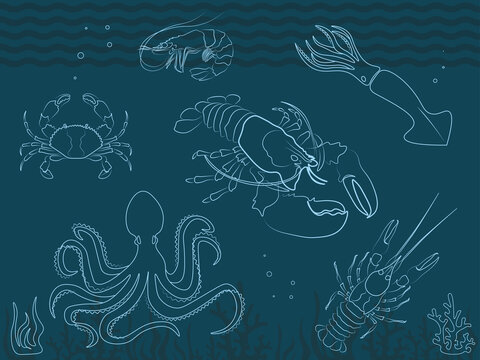 Set of vector images, icons, molluscs. Flyer with graphic silhouettes, seaweed, wave, water. Octopus, lobster, crab, shrimp, squid, cancer. Advertising banner.