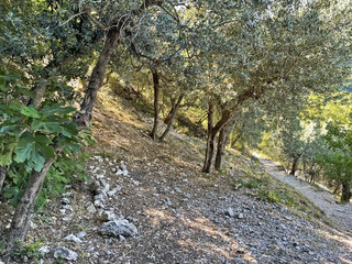 La via all'Eremo di Santa Maria Giacobbe - Foligno,  Umbria