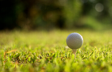 Golf ball with green grass close-up in soft focus at sunlight Stadium for golf club concept
