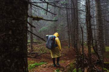 Male hiker in a raincoat and backpack on his back on a hike walks on a trail in a mountain forest, view from the back