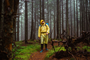 Man in a yellow raincoat walks through a coniferous forest on a hike in bad rainy weather with a backpack on his back. Active rest in the mountains
