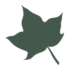 Silhouette of green leaf on the white background.