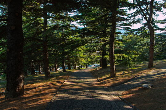 Parco della Rimembranza in Trieste, Italy, Europe
