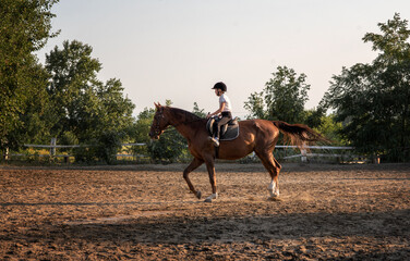 horse and rider on a horse. the child is riding a horse. Children's equestrian sport. Horse riding...