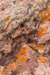 USA, Colorado. Colorado National Monument, lichen covered sandstone rock near Monument Canyon Overlook.