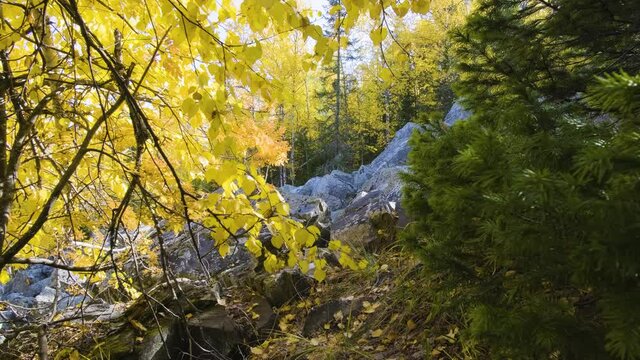 Mount Malinovaya is one of the most accessible mountains in the vicinity of Beloretsk