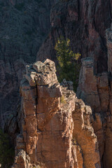 Fototapeta premium USA, Colorado. Black Canyon of the Gunnison National Park, early morning light on steep, metamorphic cliff face at Rock Point.