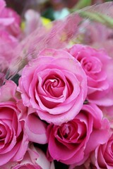 pink roses bouquet