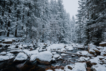Autumn views from the Karkonosze Mountains, shrouded in the first snowfalls among mysterious mists.