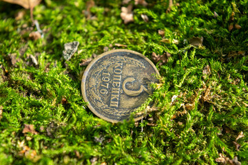 Old coins in the forest on green moss.