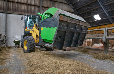 Feeding truck.  Shovel at stable. Cattle feeding machine. Netherlands.