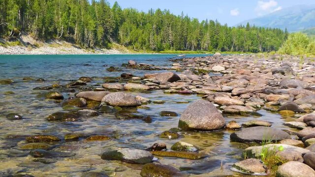 4K Aerial Footage Video of the Autumn Landscapes and Mountain River on the Chemal Tract in the Altai Mountains, Russia