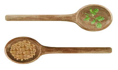 Watercolor fresh and dry coriander in wooden spoons. Kitchen cilantro spices and herbs set.