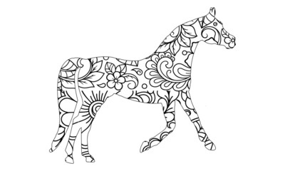 Horse Coloring Page for Adults & Kids