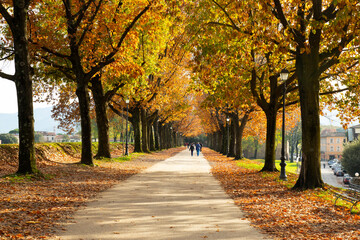 the city walls of italian city Lucca  in autumn