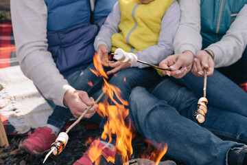 A family fries marshmallows on sticks by the fire. Blurred, selective focus on marshmallows.
