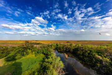 View of the vast wetland from Shark Valley Observation Tower in Everglades National Park, Florida, USA