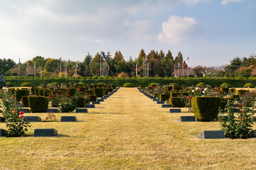 The United Nations Memorial Cemetery, located in Busan, South Korea, has the tombstones of many foreign soldiers who died in the Korean War in 1950.