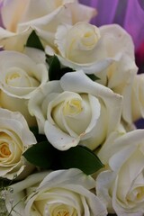 bouquet of white roses
