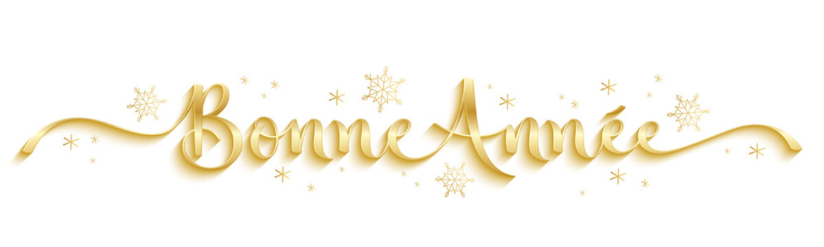 Banniere calligraphique dor&eacute;e vecteur BONNE ANNEE avec flocons de neige