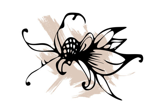 Graphic drawing of a fantastic flower. Abstract line art. Neutral boho decor.