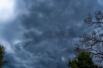 Fototapeta na wymiar The storm is coming. Storm clouds above the tree. Heavy torrential rain. Rainfall flash flooding . Metorology weather forecast. Low pressure area. La Nina