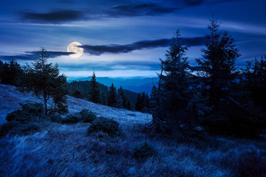 trail through mountain hill at night. landscape with trees on the meadow with weathered grass in full moon light. ridge in the distance beneath a cloudy sky. magical scenery of carpathians