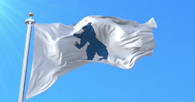Flag of Buskerud fylke, Norway. Loop