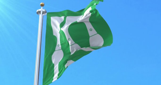 Flag of Hedmark fylke, Norway. Loop