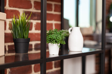 Close up of modern plants in pot and vase on bookshelf, decor in business office. Shelves with decorative houseplants and flowerpots for fresh environment. Natural potted decorations