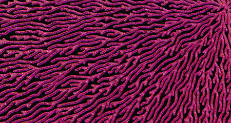 Crystal Coral - Pink - M