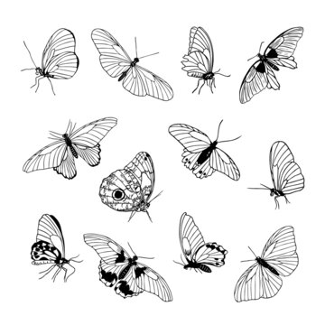 Set of hand drawn black outline butterflies on white background. Front and side view. Butterfly miimalistic sketch for tattoo, card, logo Vector illustration