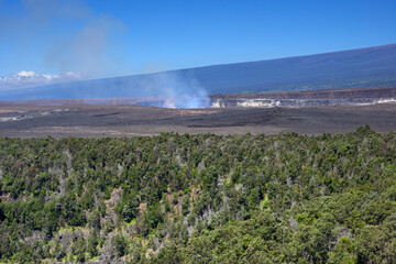 USA, Hawaii, Big Island of Hawaii. Hawaii Volcanoes National Park, View across forest near Kilauea...