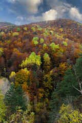 
Ordesa and Monte Perdido, Añisclo Canyon. Sensa Mountain. Aragonese Pyrenees