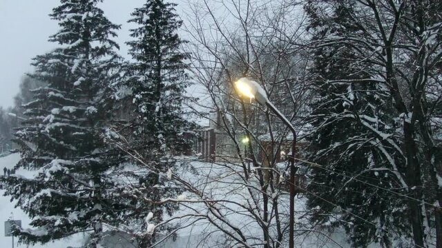 Aerial shot in backward movement from the street light among trees when strong snow-storm in evening
