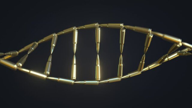 DNA molecule model made with shiny bullets. Aggression or defense industry concepts, looping 3D animation