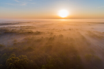 Fototapeta na wymiar Aerial sunrise over forest covered with fog in spring Marion County, Illinois