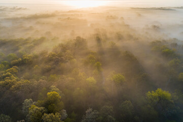 Fototapeta na wymiar Aerial sunrise over forest covered with fog in spring Marion County, Illinois