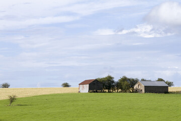 Obraz premium paysage campagne