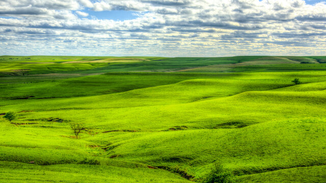 Rolling hills in Flint Hills of Kansas, hazy morning.