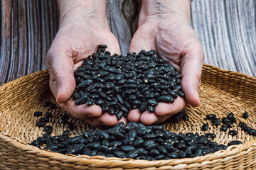 Brown bowl full of dry black beans. Hands full of fresh black beans. Healthy eating and vegetarian concept.
