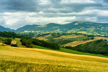Rural landscape near Cingoli and Appignano, Marche, Italy